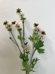 Margarita Rosada Artificial