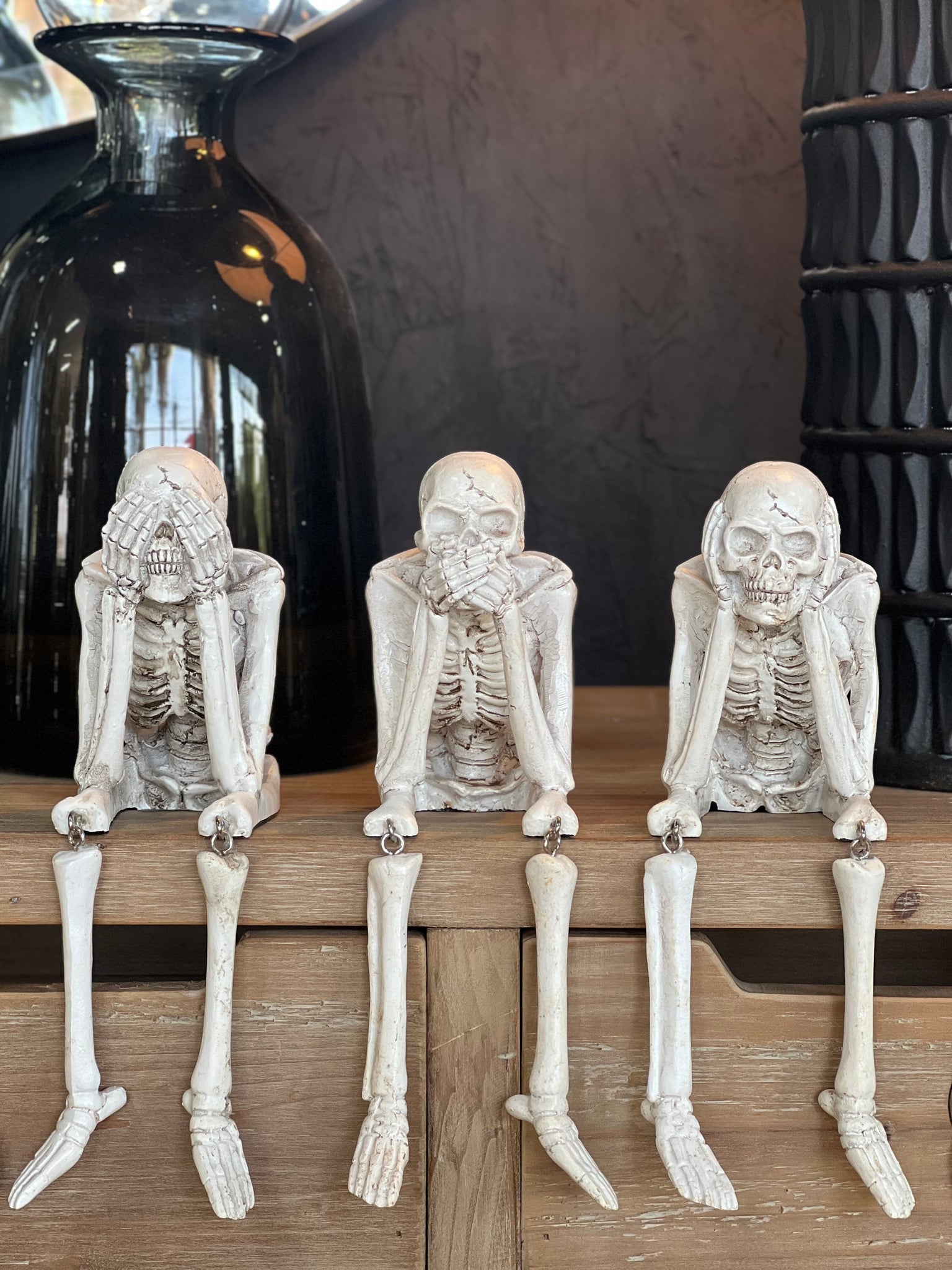 Set Esqueletos Sabios
