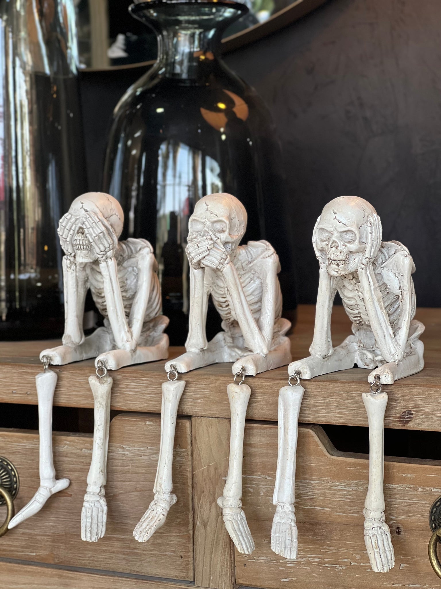 Set Esqueletos Sabios