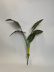 Alocasia Morada Artificial