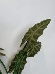 Alocasia Morada Artificial