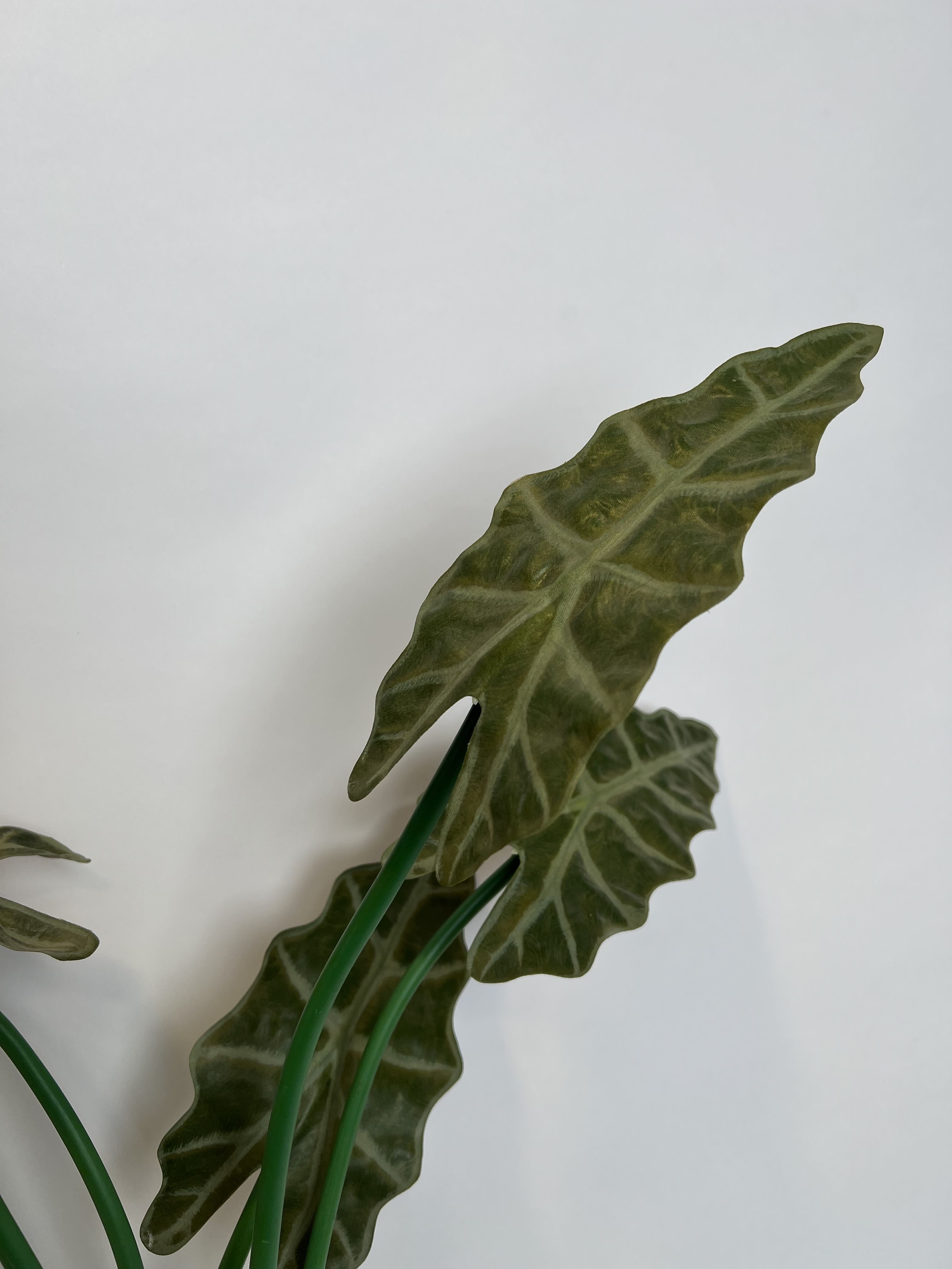 Alocasia Morada Artificial